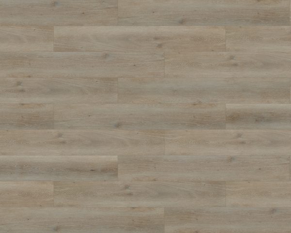 Draco - Galaxy II (1526 x 230  x 2.5 mm)