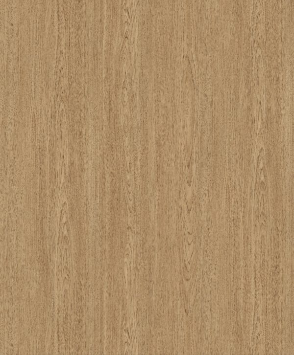 Kilimanjaro- Peak  (235mm x 1227mm)